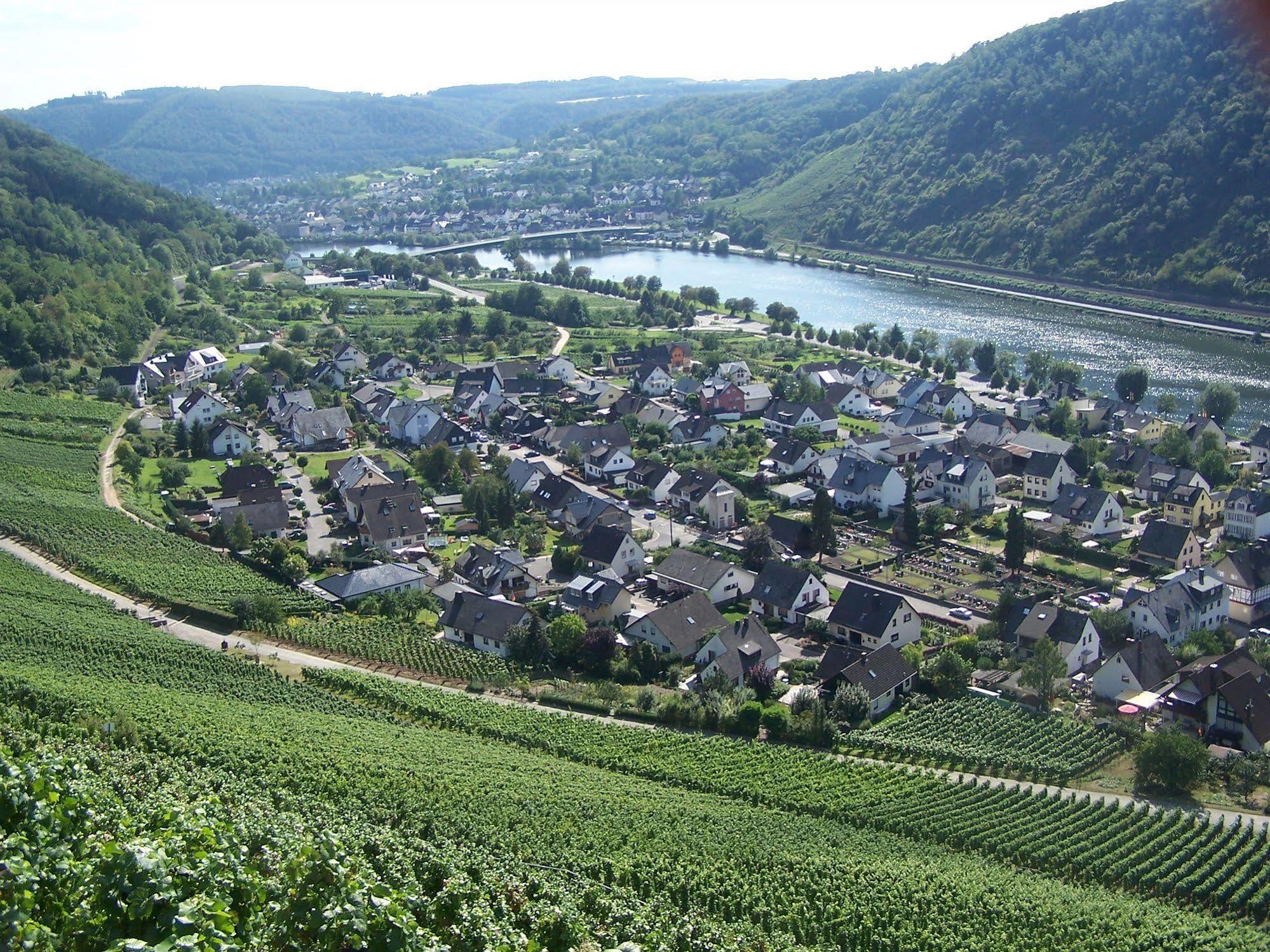 Ferienwohnung In Alken / Mosel Exterior foto